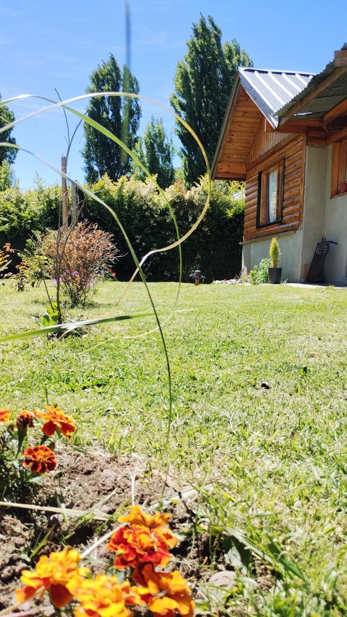Cabana Los Teros San Martín de los Andes Exteriör bild
